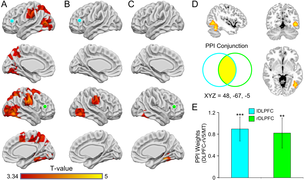 人文学院心理学学科组发表高质量研究论文